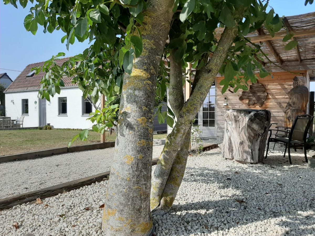 La Petite Juliette Villa Leuze-en-Hainaut Екстериор снимка